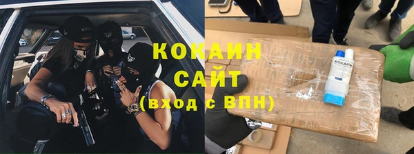 ГАЛЛЮЦИНОГЕННЫЕ ГРИБЫ Верея